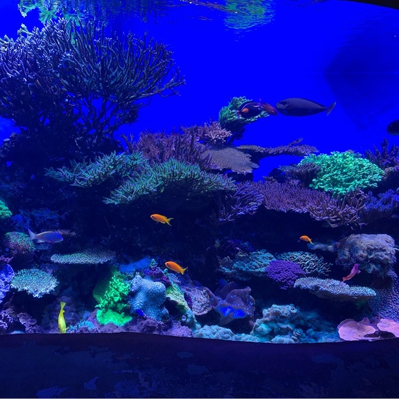 ALL ITEMS COME FROM A SMOKE FREE HOME - Picture 4 of 6